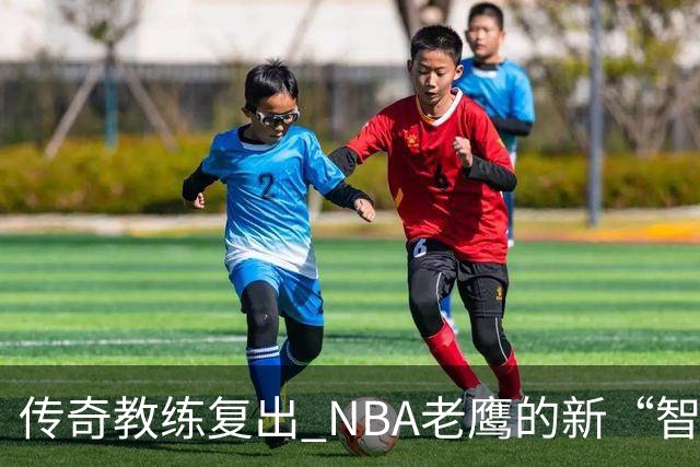 传奇教练复出 NBA老鹰的新“智囊”来袭！